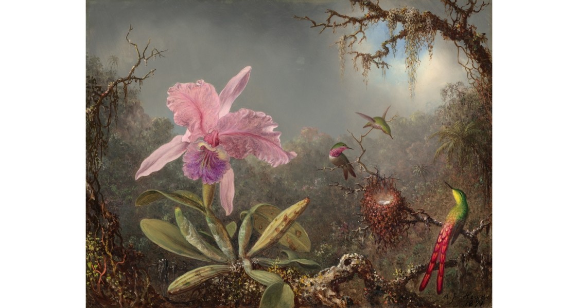 Newsletter 137 Image