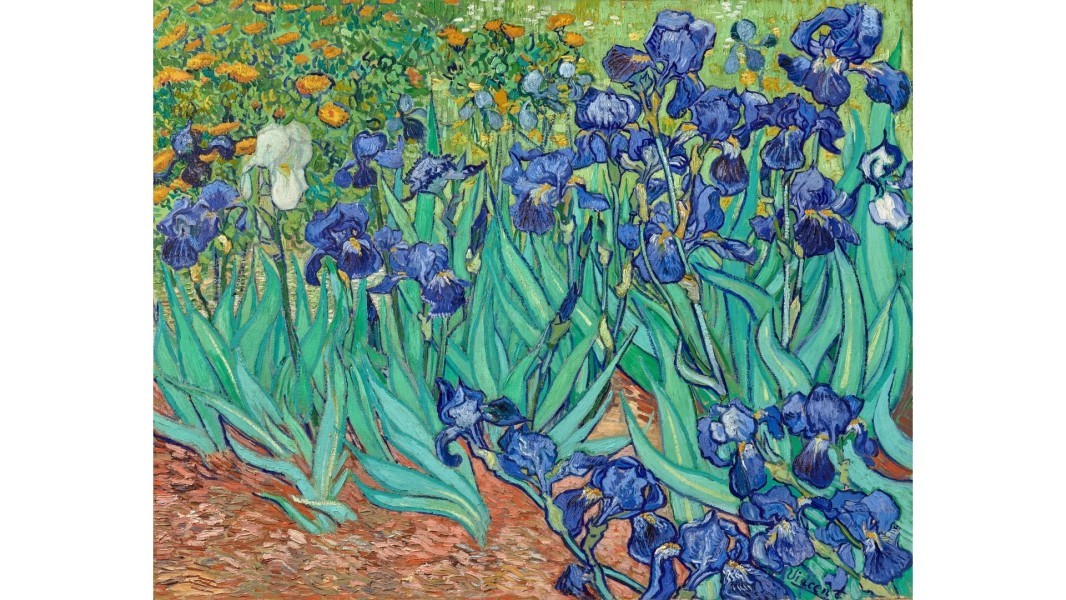 Newsletter 177 Image