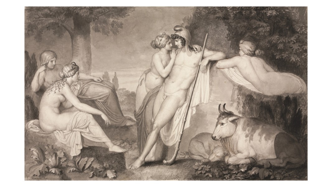 Newsletter 246 Image