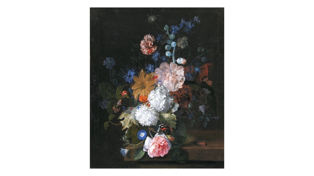 Newsletter 313 Image