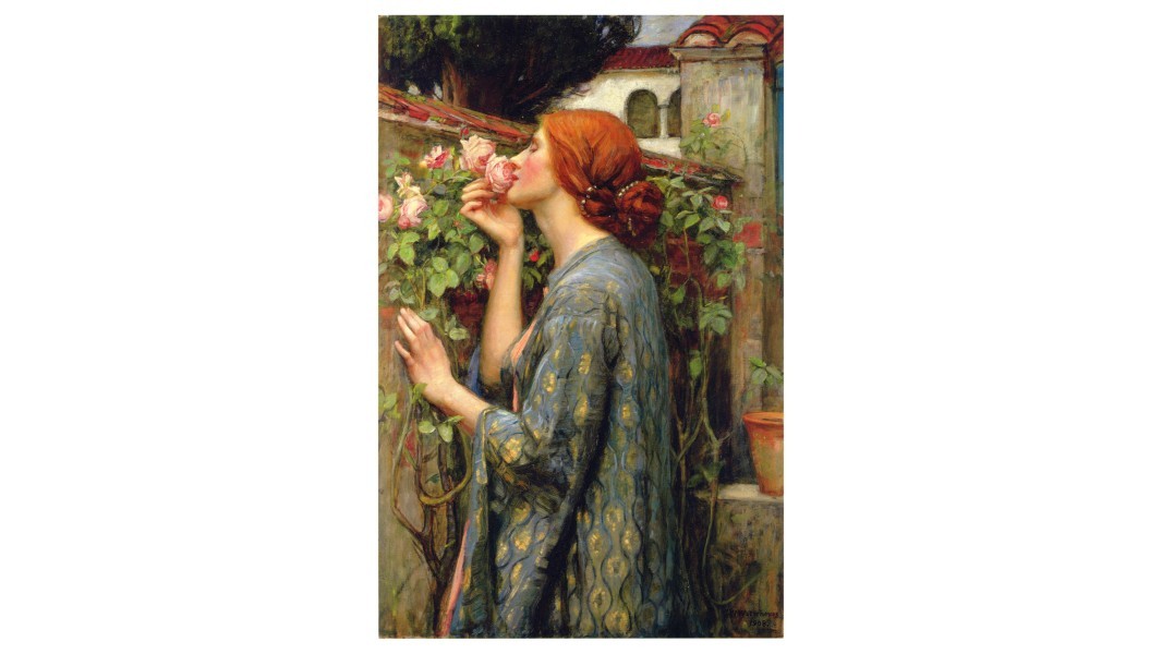 Newsletter 339 Image